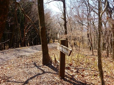 水口山|別府市 水口山